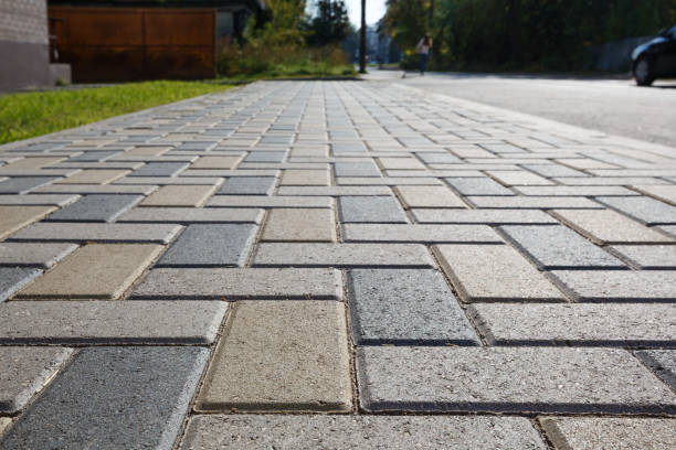 Best Professional Driveway Pavers  in Trevorton, PA