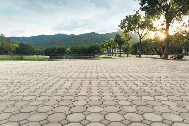 Best Local Driveway Pavers  in Trevorton, PA