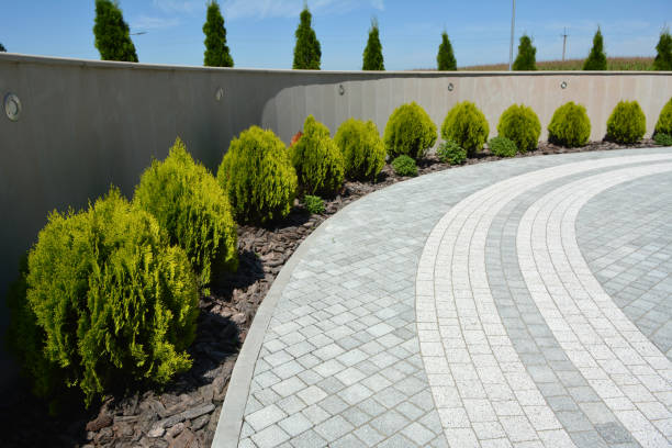 Best Decorative Driveway Pavers  in Trevorton, PA